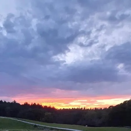 Muckross Riding Stables Cill Airne