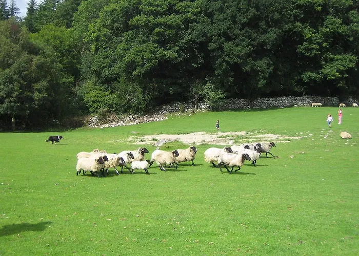 Muckross Riding Stables Cill Airne