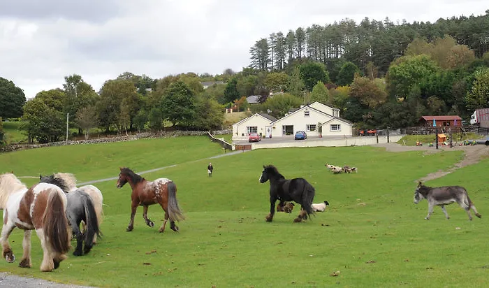Muckross Riding Stables Cill Airne