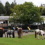 Muckross Riding Stables