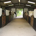 Muckross Riding Stables