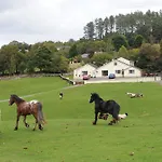 Muckross Riding Stables Cill Airne
