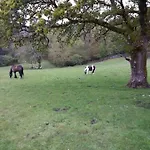 Muckross Riding Stables *