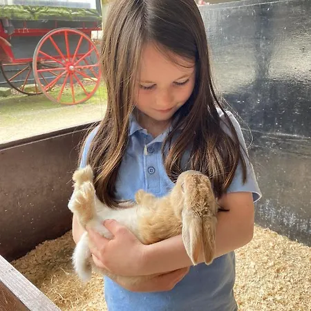 Muckross Riding Stables Killarney