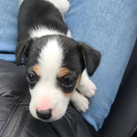 Alojamento de Turismo Rural Muckross Riding Stables *