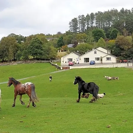 Farm stay Muckross Riding Stables