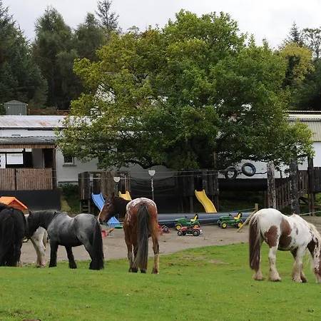 Muckross Riding Stables
