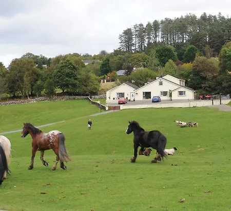 Muckross Riding Stables Killarney
