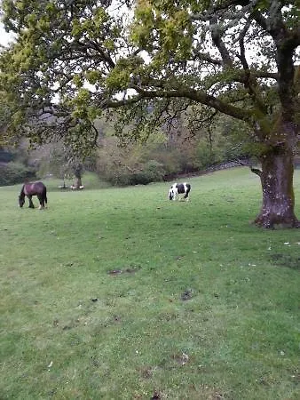 Muckross Riding Stables *