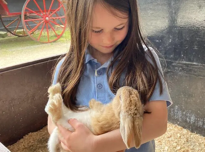 麦克劳斯骑马场农家乐 基拉尼