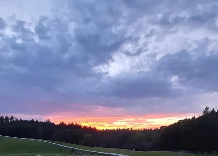 麦克劳斯骑马场农家乐 基拉尼