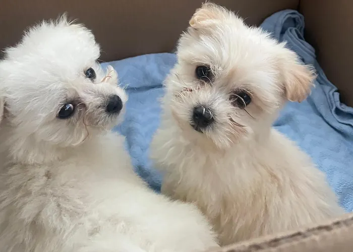 农家乐 麦克劳斯骑马场农家乐 *