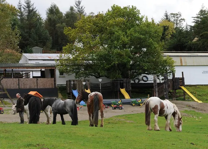 Muckross Riding Stables