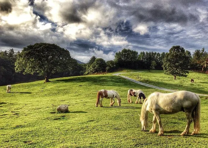 Farm stay Muckross Riding Stables
