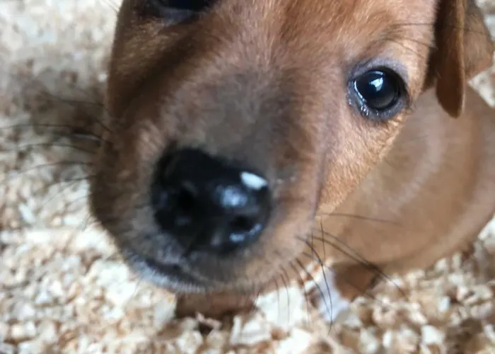 麦克劳斯骑马场农家乐 *